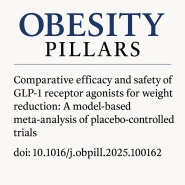 17 Obesity Pillars